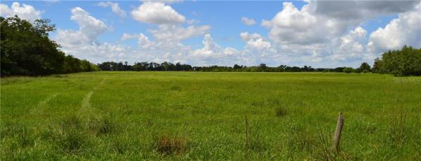 SEMINOLE LAND & INV CO