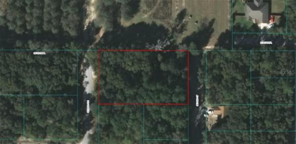 ORANGE BLOSSOM HILLS