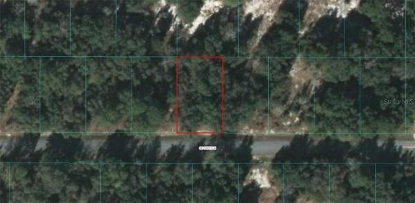 ORANGE BLOSSOM HILLS