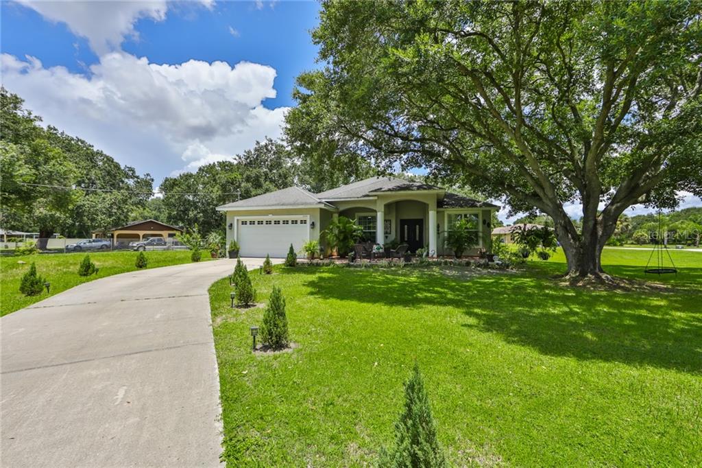 MAYDELL - фотография MAYDELL - фото