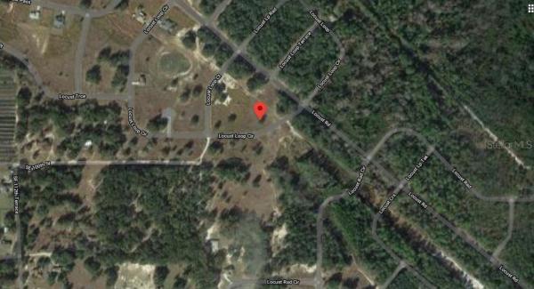 SILVER SPGS SHORES UN 33