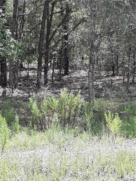 RAINBOW LAKES ESTATES SEC J