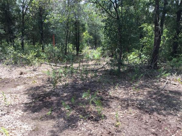 SOUTHERN COLONIZATION COMPANY