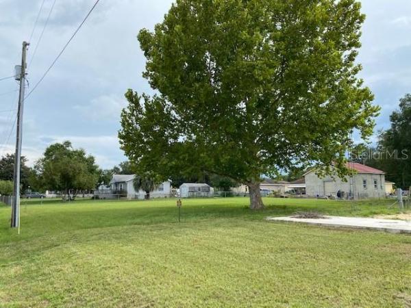 ORANGE BLOSSOM HILLS 15