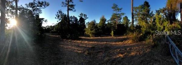 SEMINOLE LAND & INV CO