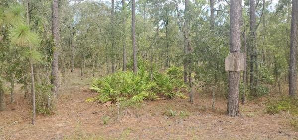 ROLLING HILLS UNIT 1