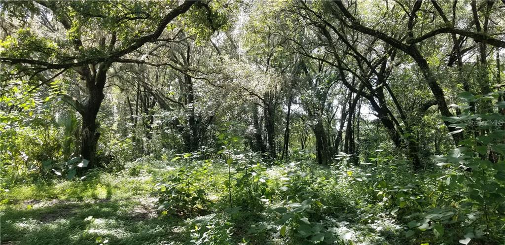 ZEPHYRHILLS COLONY CO - фото