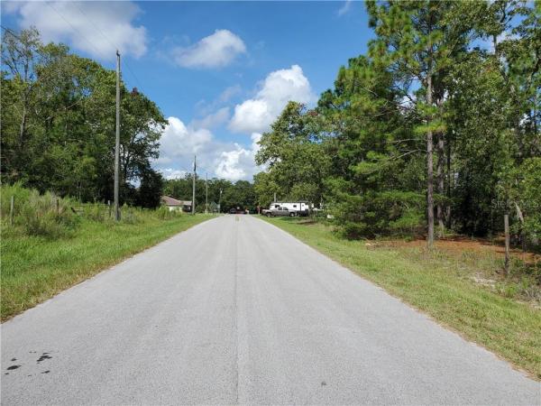 ORANGE BLOSSOM HILLS