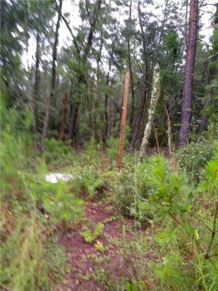 OCALA WATERWAY ESTATE