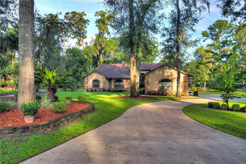 SHAKER TREE - фото