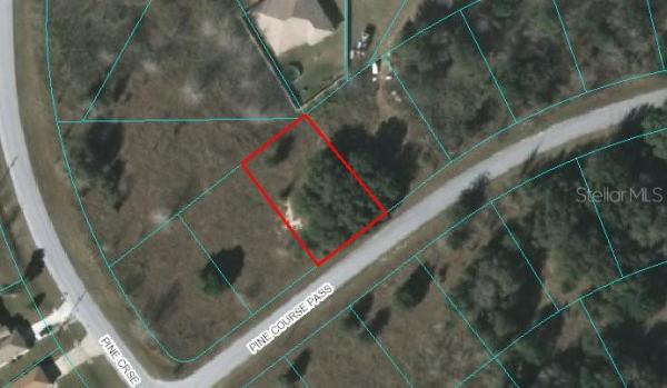 SILVER SPGS SHORES UN 17