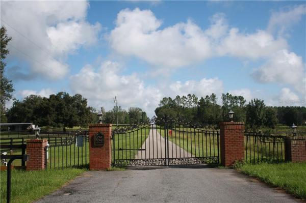 LONG POND PLANTATION