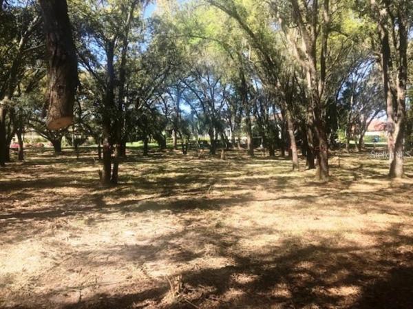 SANCTUARY ON LIVINGSTONE-PHASE