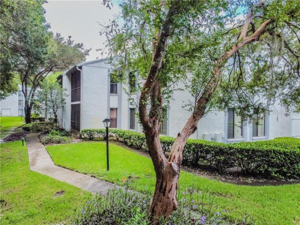 PINE RIDGE AT LAKE TARPON VILLAGE