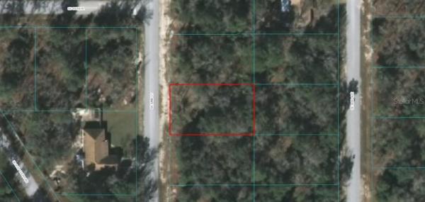 ORANGE BLOSSOM HILLS INC UN 14