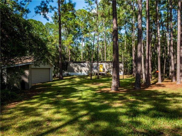 BLACK SINK CAMPSITES