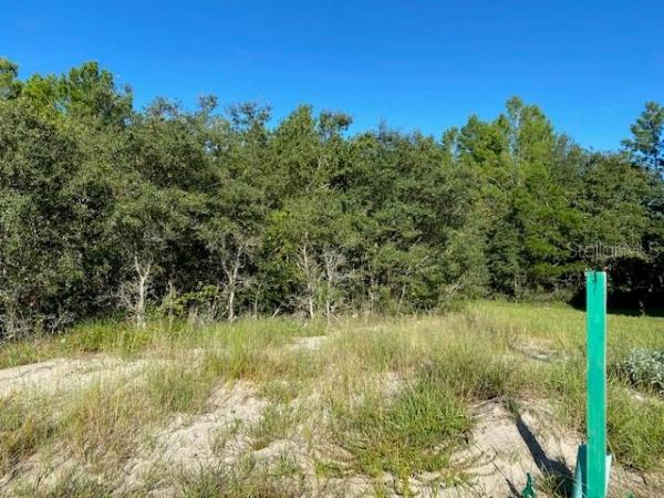 POINCIANA NBRHD 02 VILLAGE 08