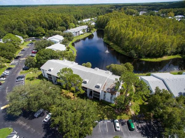 PINE RIDGE AT LAKE TARPON VILLAGE