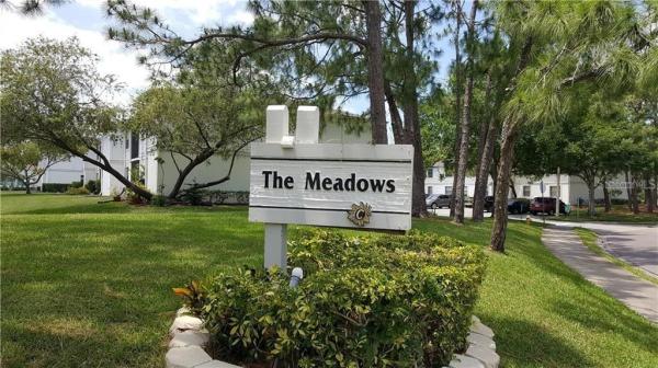 MEADOWS CONDO AT EAST LAKE WOODLANDS