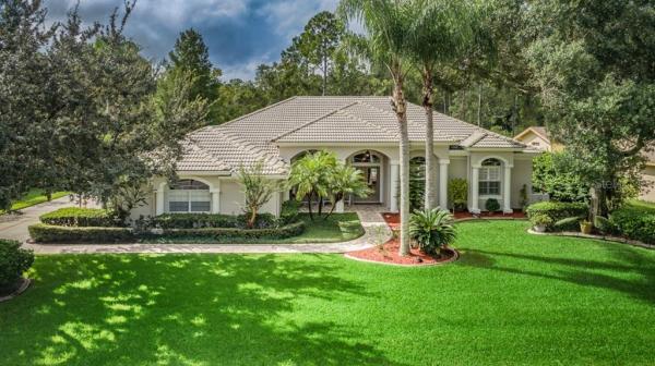 STAG THICKET ESTATES