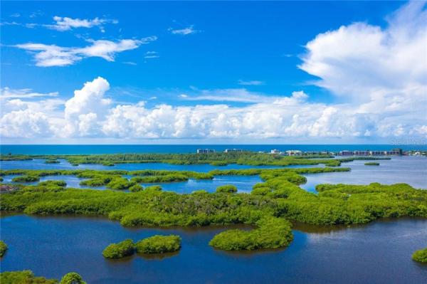 MERIDIAN AT THE OAKS PRESERVE