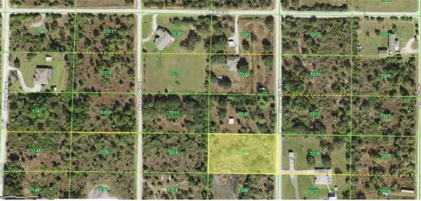 CHARLOTTE RANCHETTES #244