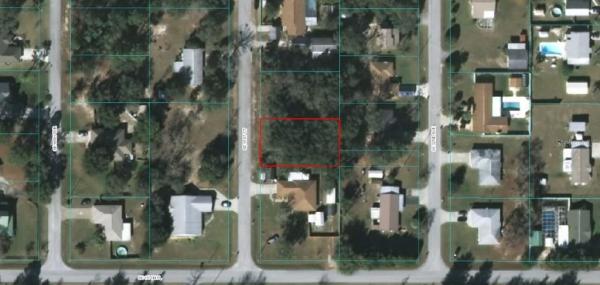 ORANGE BLOSSOM HILLS