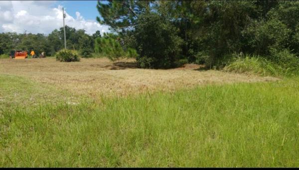 POINCIANA NBRHD 04 VILLAGE 07