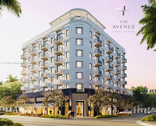 The Avenue