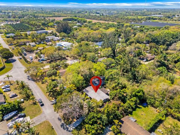 GRIFFING SILVER PALM SUB