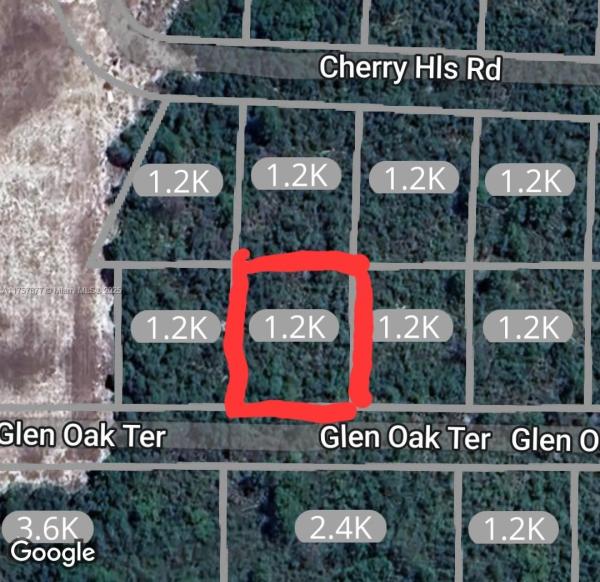 ORANGE BLOSSOM CCC UNIT 18