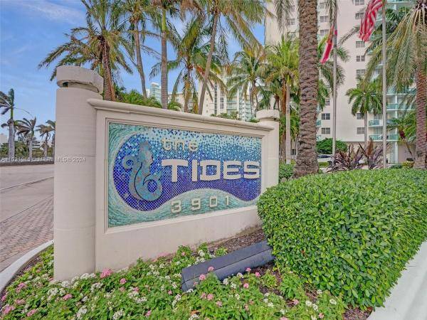 Tides on Hollywood