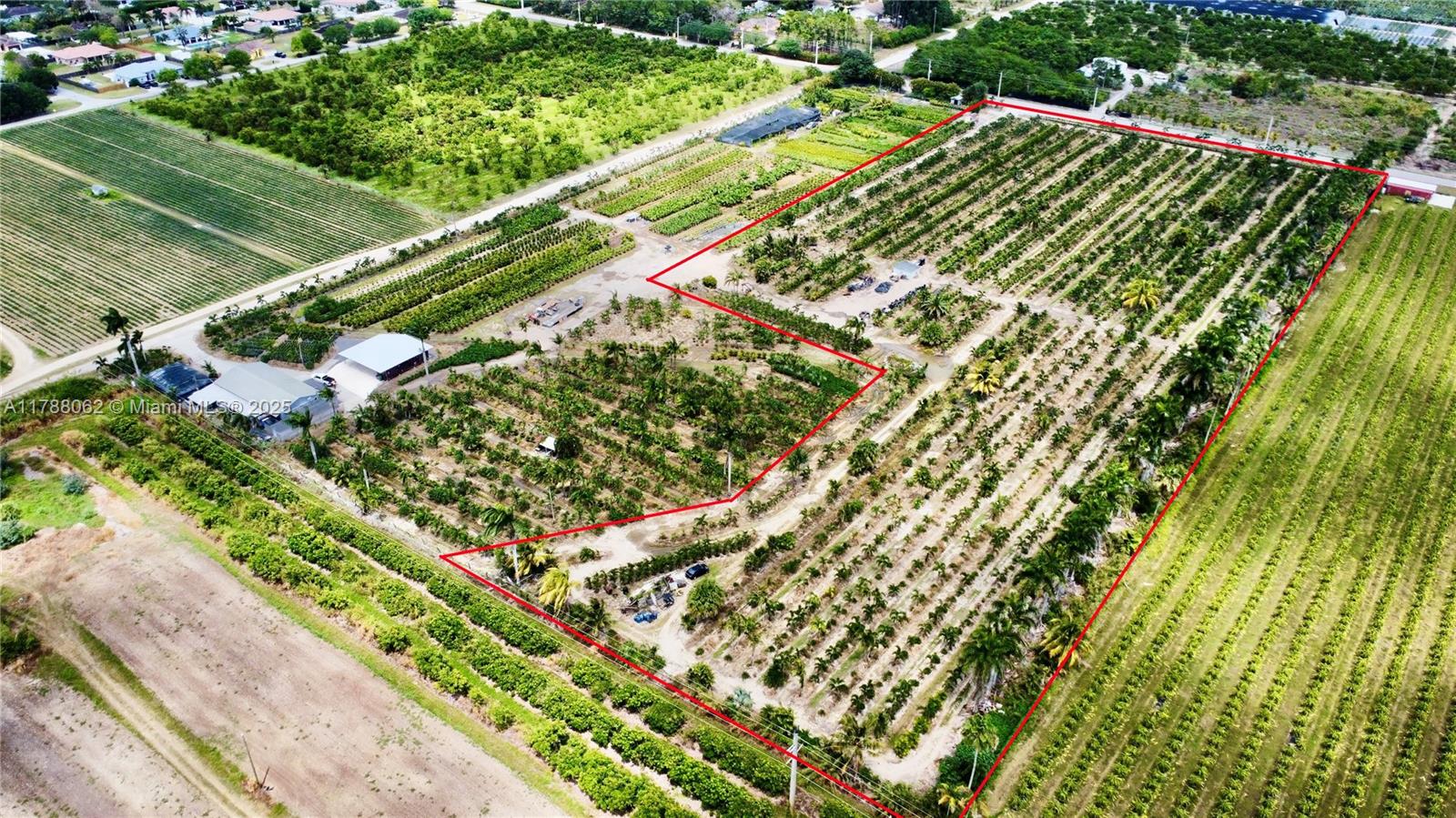 The Redland - фото