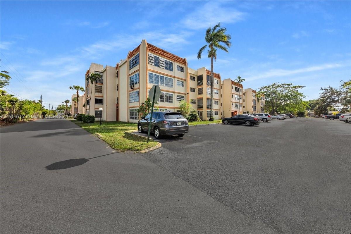 Cypress Tree - фото