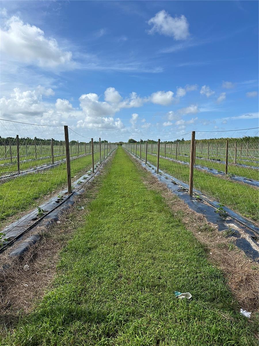 Land - фотография Land - фото