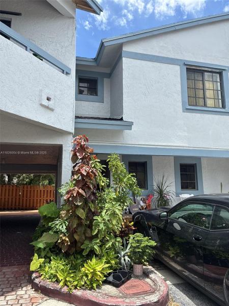 INTERNATIONAL PRINCESS