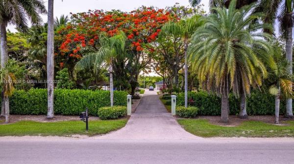 3 56 38 1.23 AC M/L N1/3 O