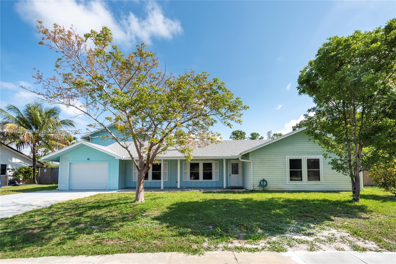 WILLOWS THE FIRST ADD - фото