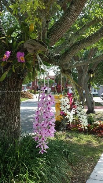 WEITZER HAMMOCKS HOMES SE