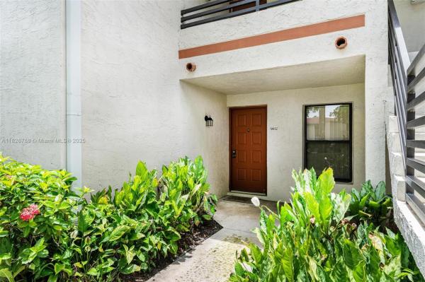 Quatraine at Jacaranda