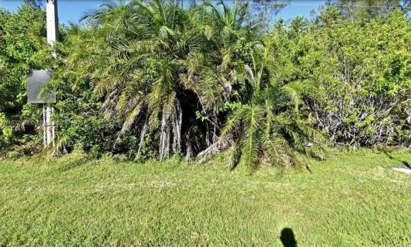 SURFSIDE PLAZA UNIT 1 REP