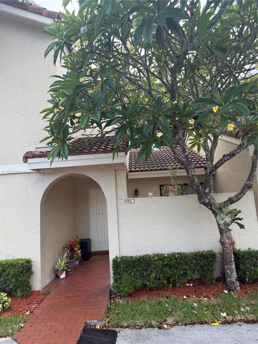 The Moors - фото