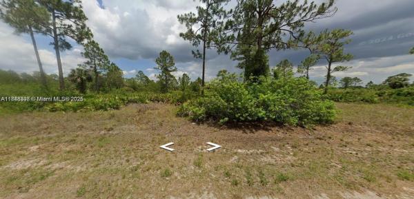 Lee County Unincorporated