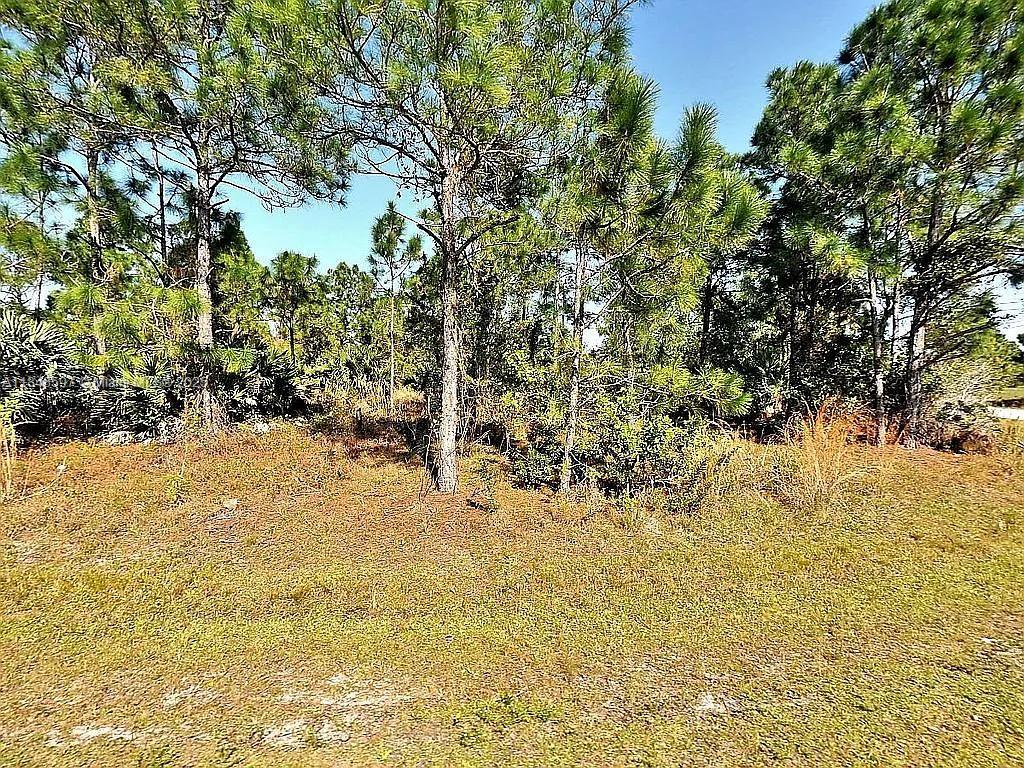 PORT ST LUCIE SECTION 47 - фото