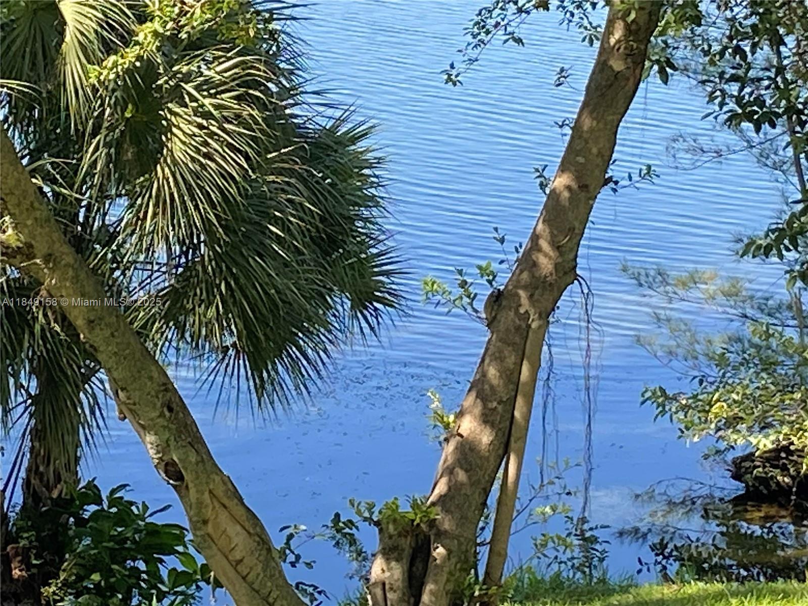 SAMARI LAKE - фото