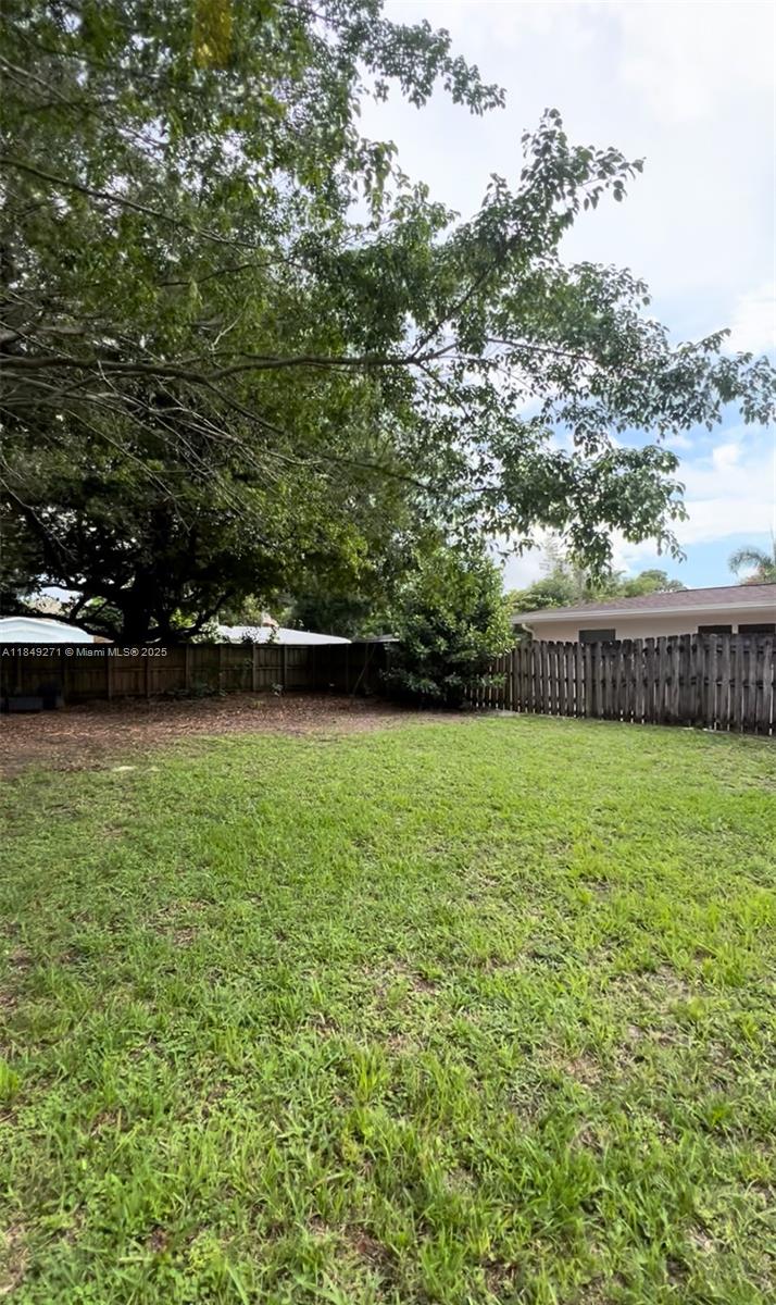 SHERWOOD FOREST - фото