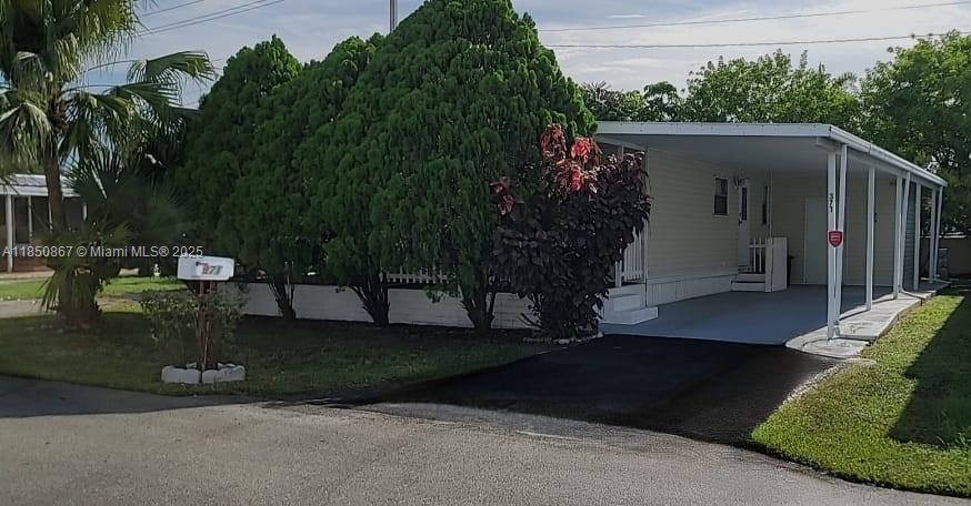 SUNSHINE CITY - фото