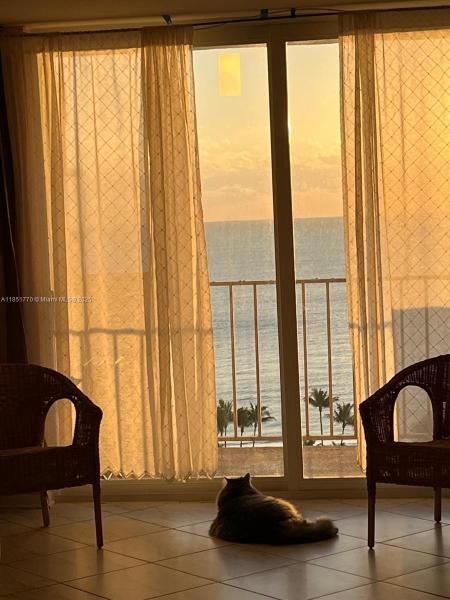 1865 S OCEAN DR #20N, HALLANDALE BEACH, FL 33009