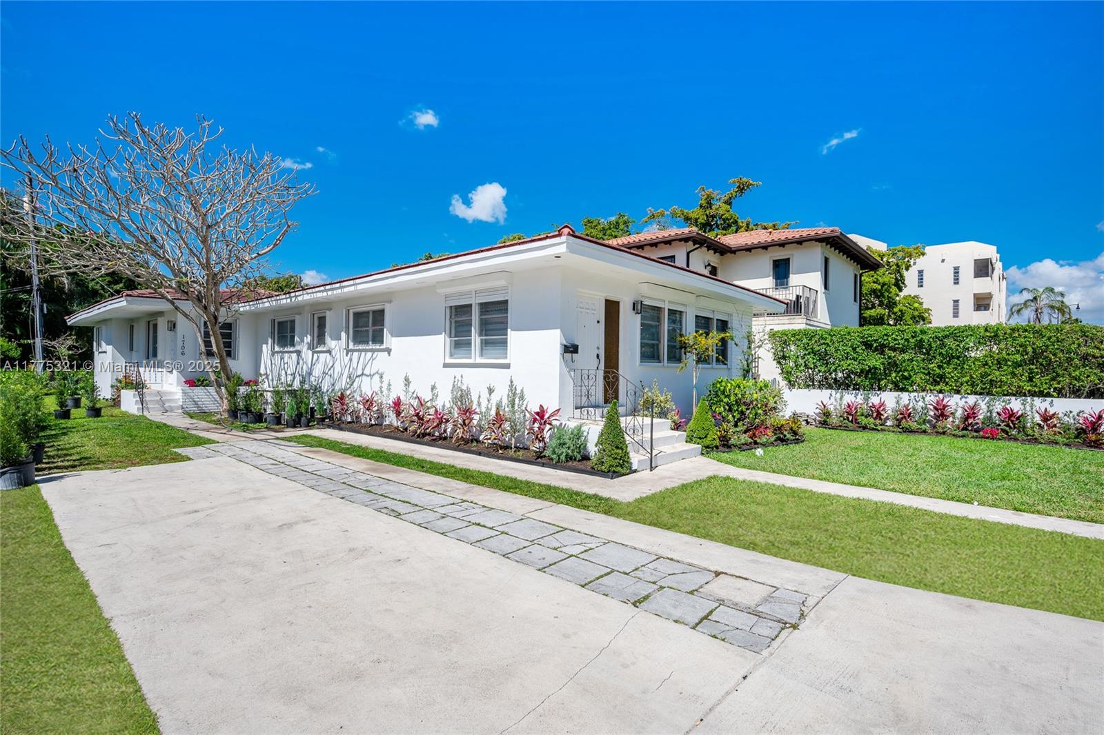 CORAL GROVES - фото