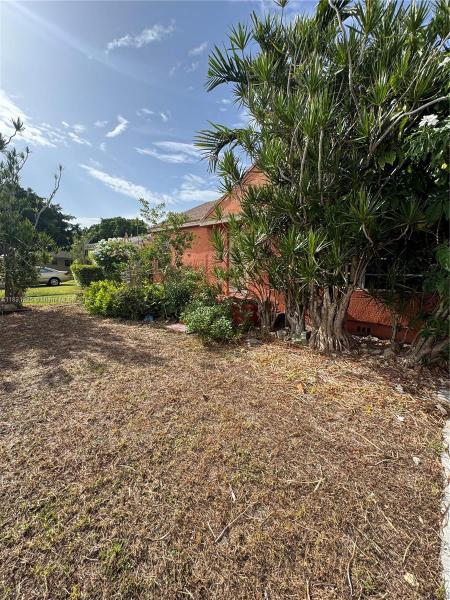 CENTRAL MIAMI PART 2